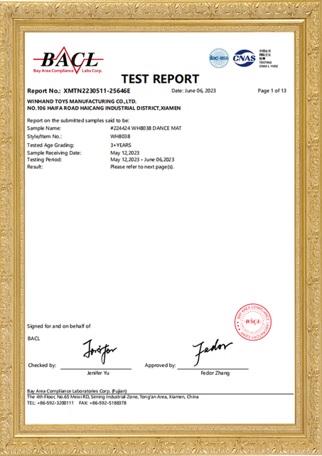 playmat toy test report