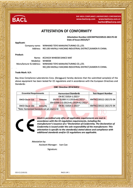 dancing mat test report